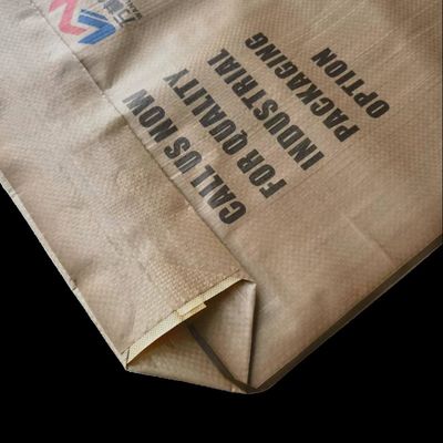 20 কেজি-50 কেজি সিমেন্ট এবং জিপসাম পাউডারের জন্য তাপ সীল সহ আর্দ্রতা প্রতিরোধী পিপি ভালভ ব্যাগ